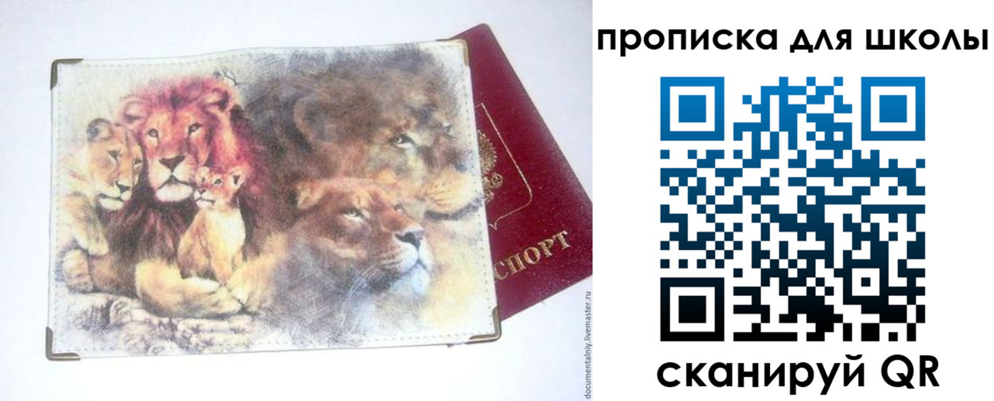 временная регистрация гарантия в Опочке